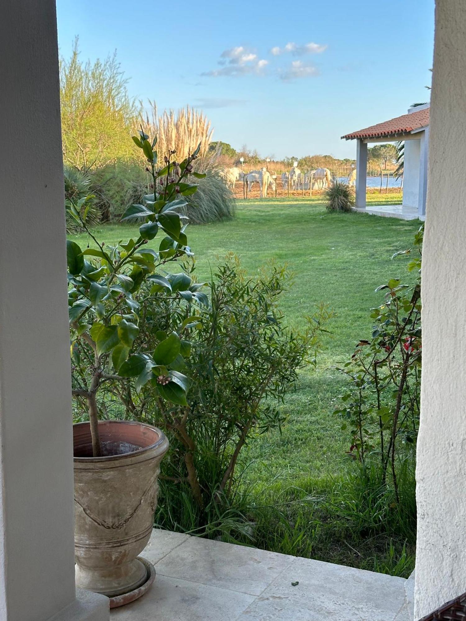 Hotel Mas Des Barres Saintes-Maries-de-la-Mer Zewnętrze zdjęcie